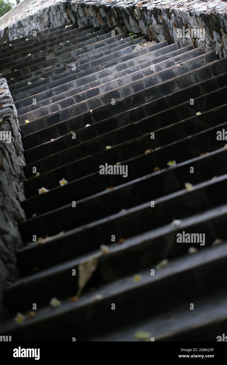 A stone stairs in a public park, shaded by dense tree canopy Stock Photo