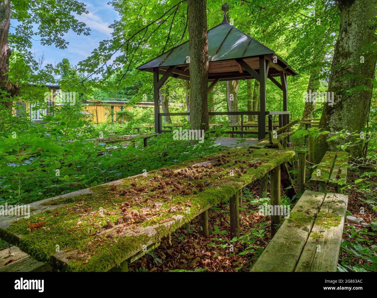 Lost Place, overgrown beer garden with mossy seating areas, Gasthof Obermuehltal, Bavaria, Germany, Europe Stock Photo