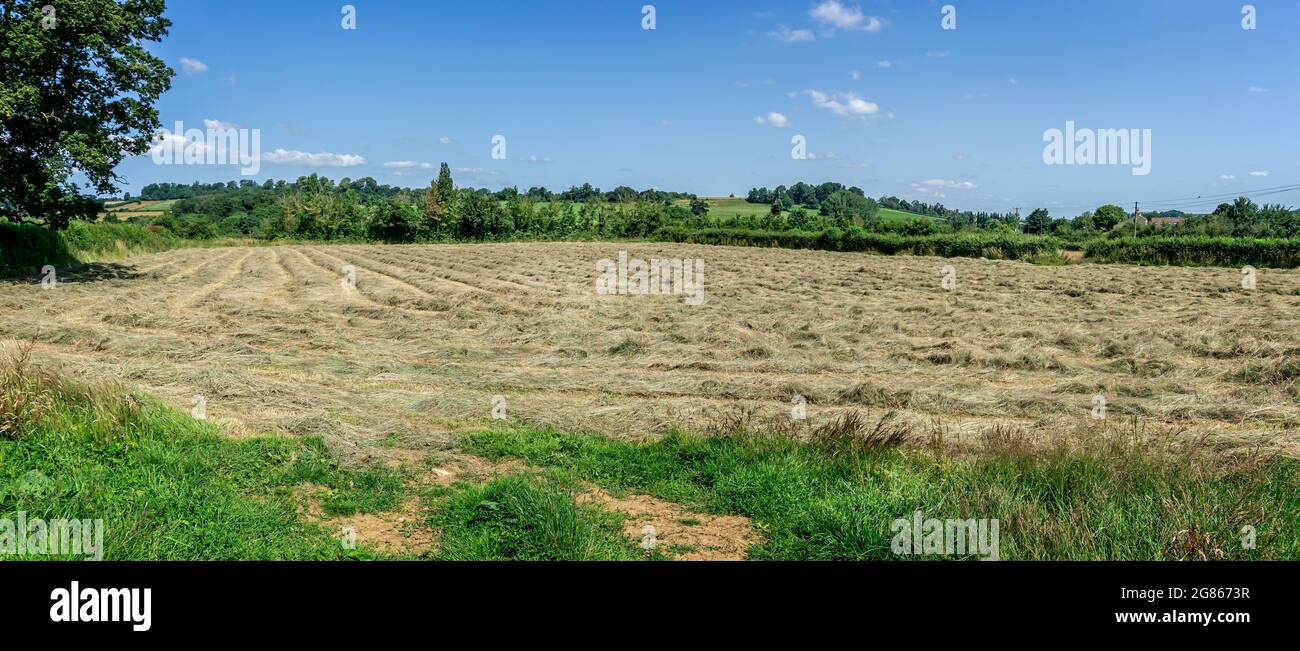 Panoramic view of field of mown hay in beautiful setting Stock Photo