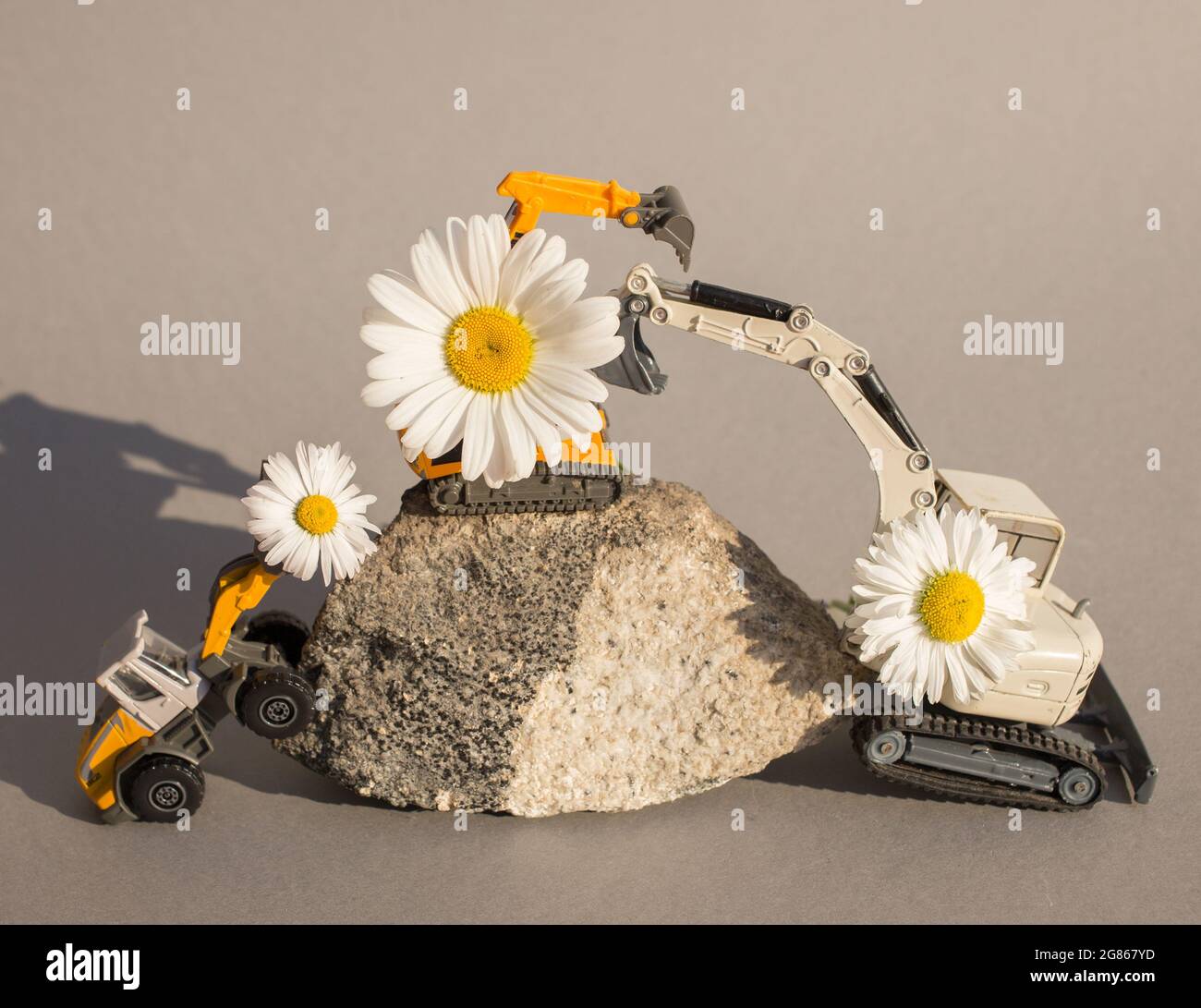 Champ Construction Bloomer Set