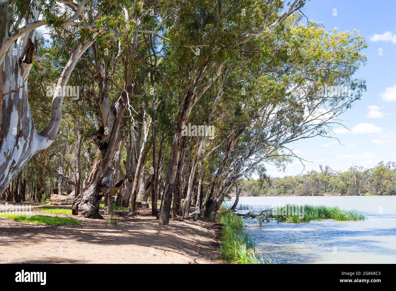 Banks of Murray River at Dareton, NSW, Australia, border with Victoria. Stock Photo