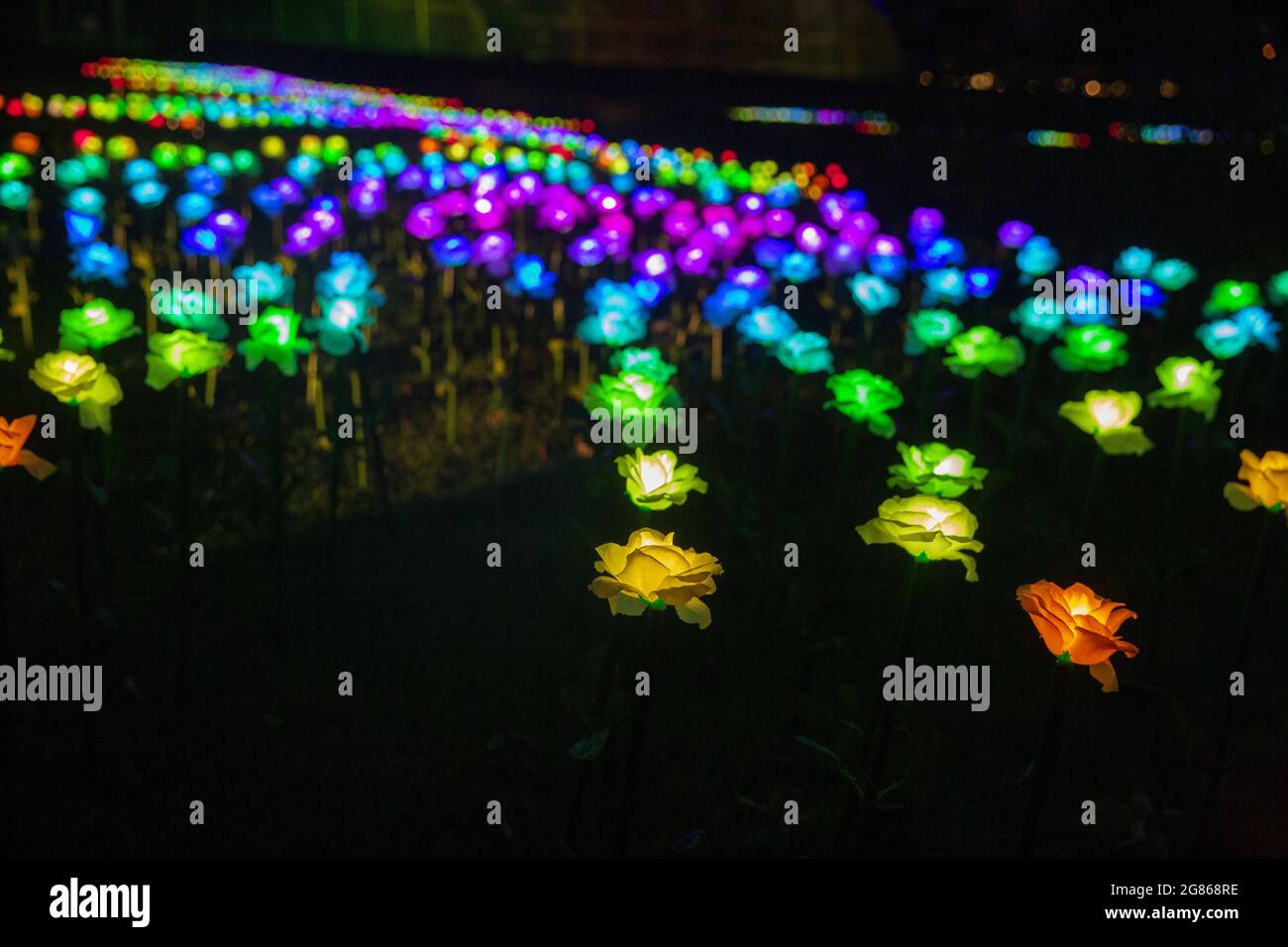 Christmas at Kew Gardens 2021 Stock Photo Alamy