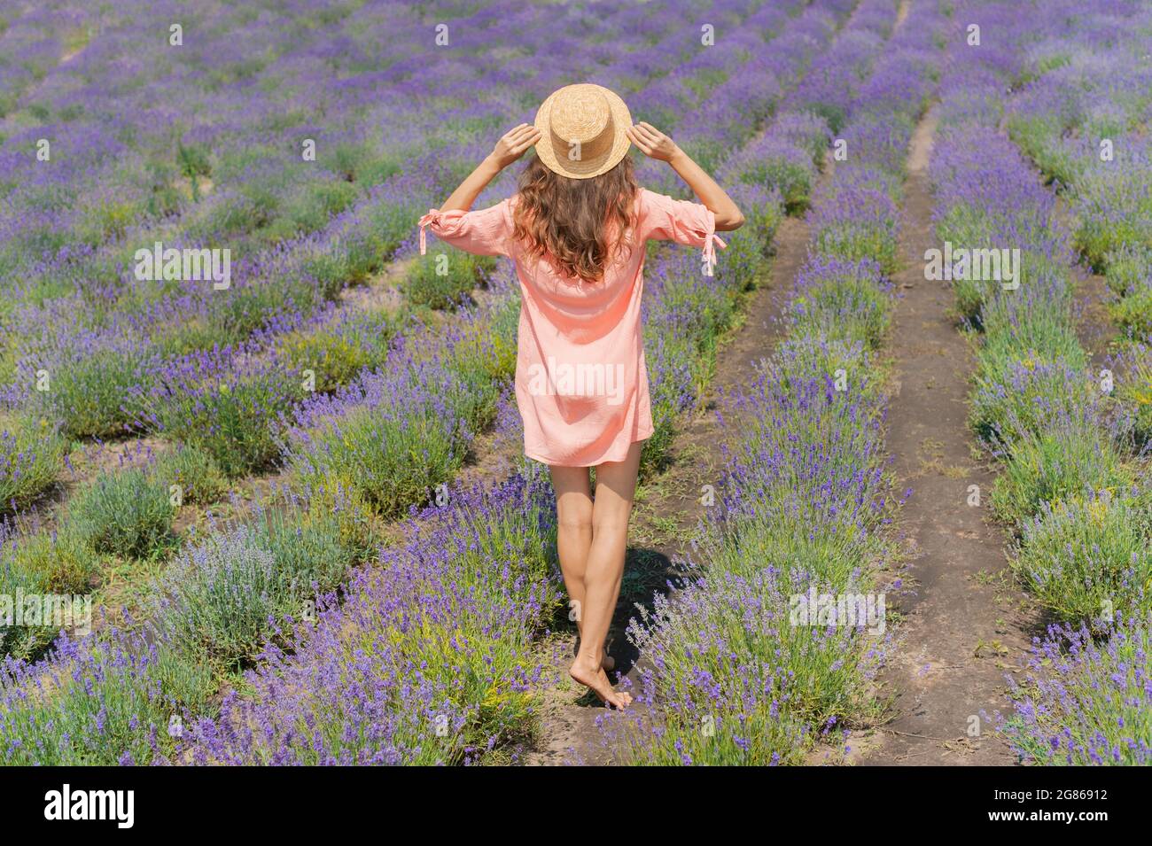 Young woman with pink dress and hat enjoying the beauty and fragrance of a filed of lavender in bloom Stock Photo