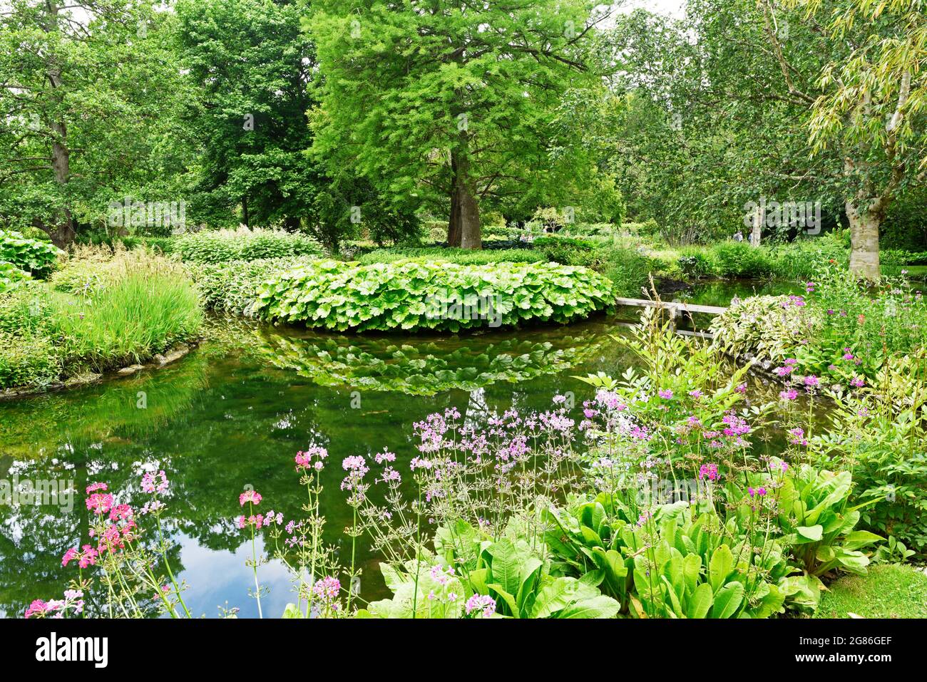 Longstock Water Gardens, Longstock, Hampshire, England Stock Photo Alamy