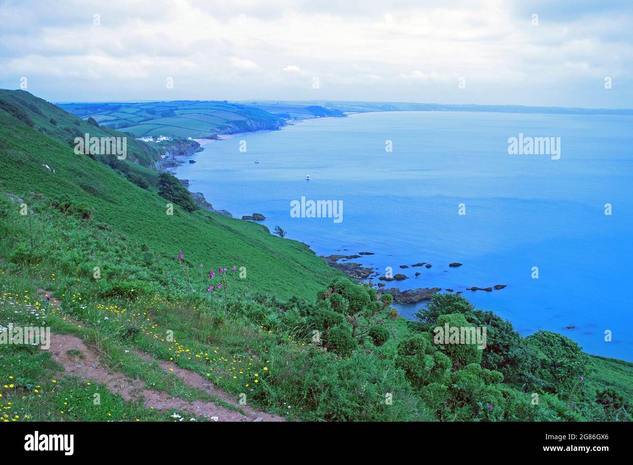Start Point coastal path, Devon Stock Photo Alamy