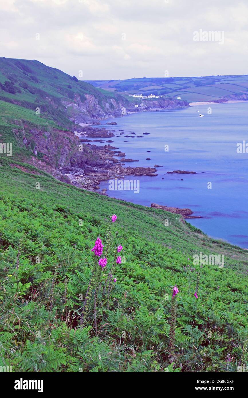 Start Point coastal path, Devon Stock Photo Alamy