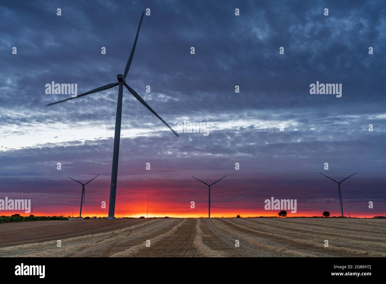 Modern windmill turbines over cultivated fields at dusk Stock Photo