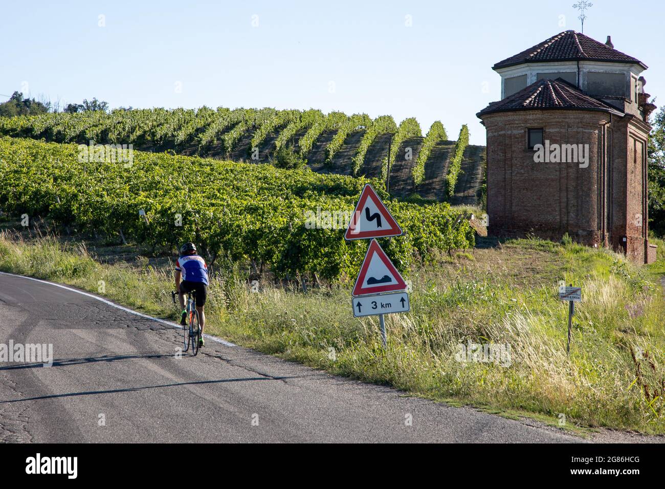 cyclist Vineyards in Monferrato Piedmont Italy summer day Stock Photo