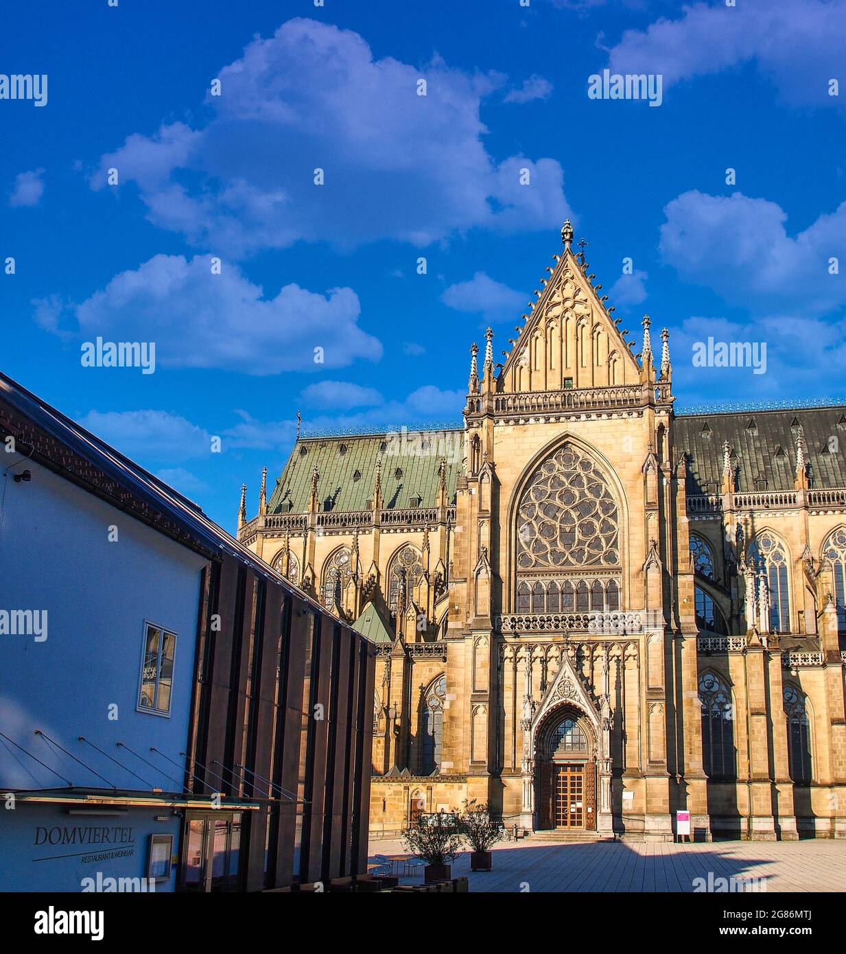 New Cathedral or Cathedral of the Immaculate Conception or St. Mary ...