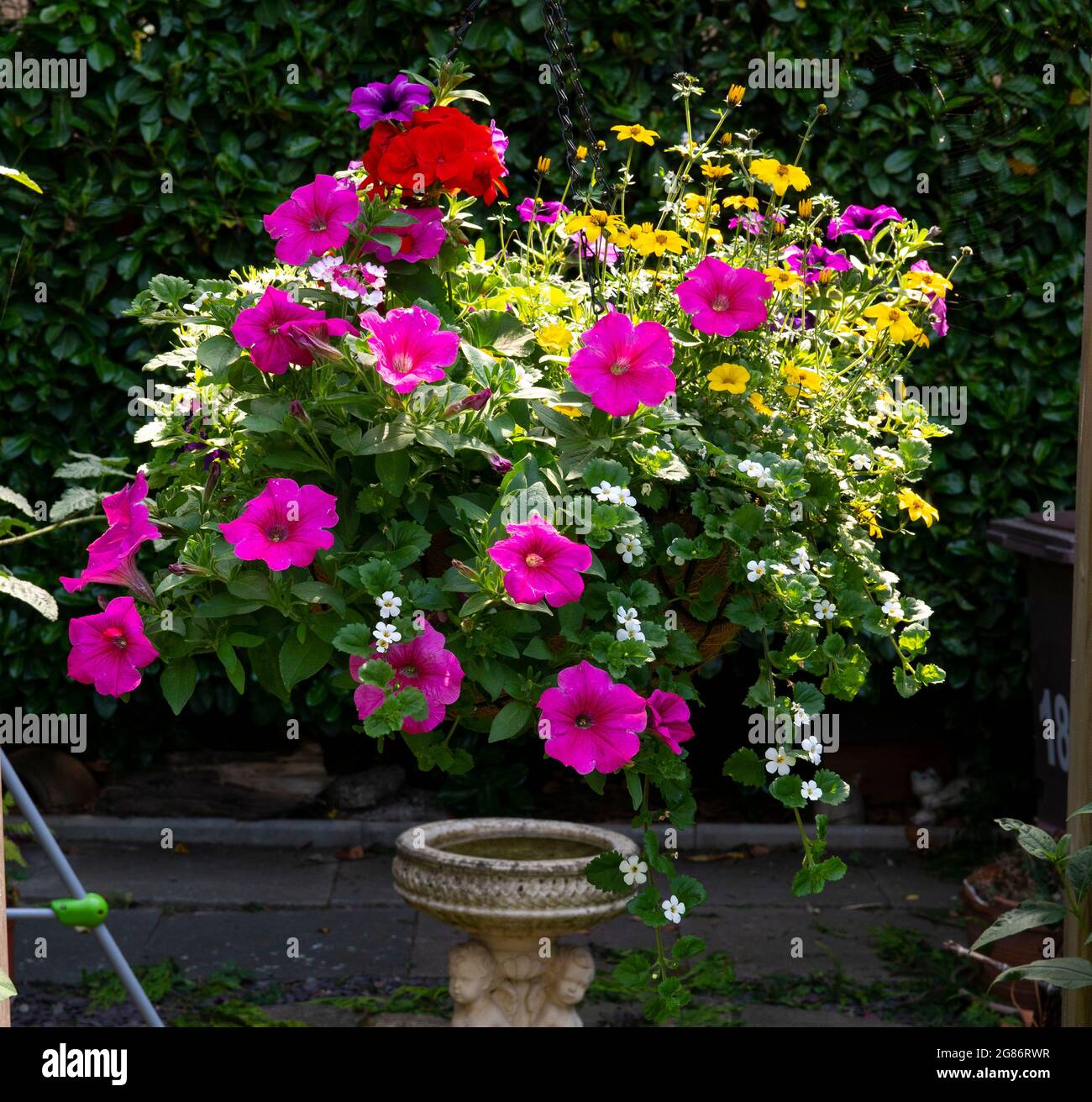 Colorful summer hanging basket example Stock Photo Alamy