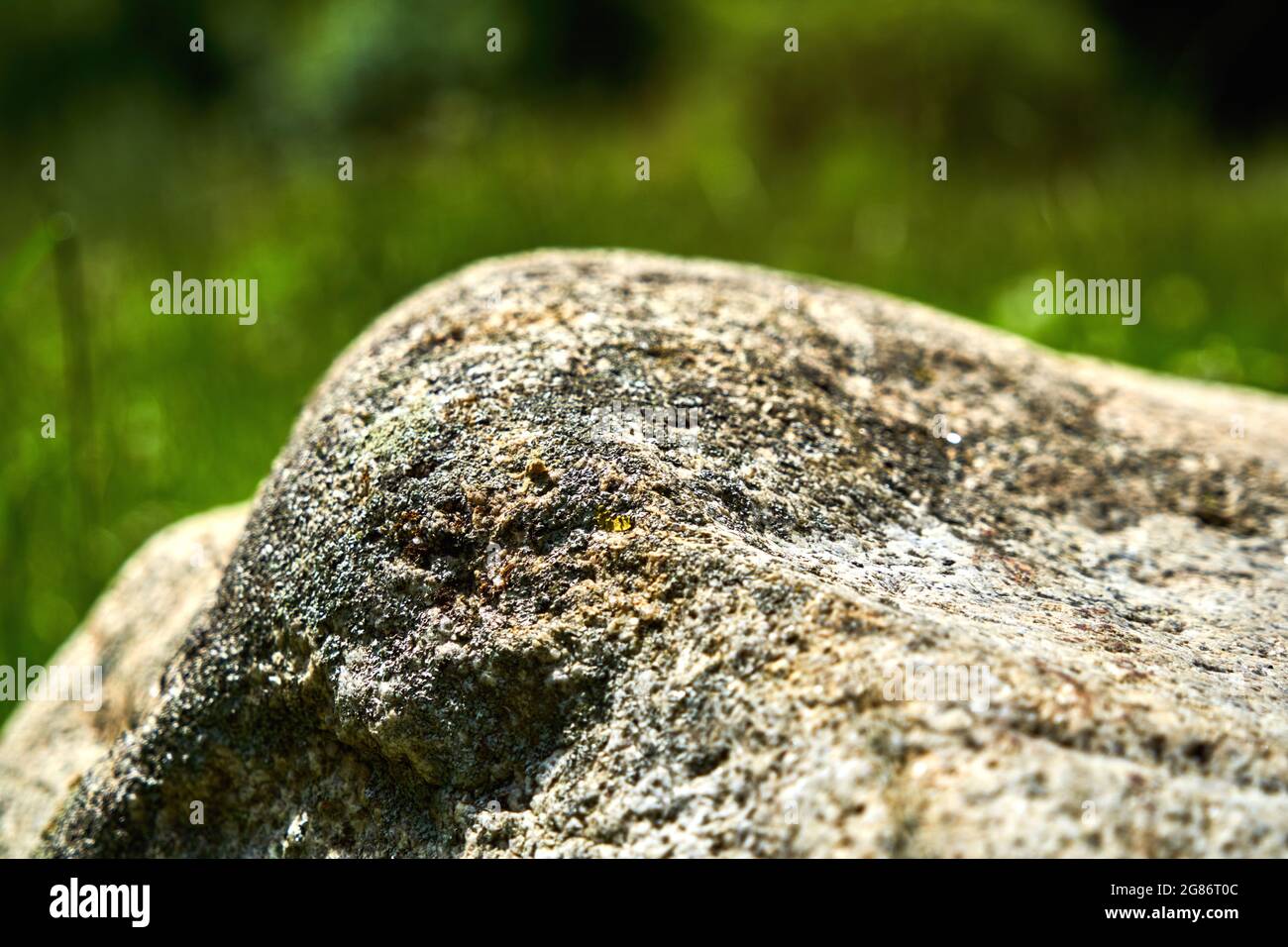 Edge-rounded rock of granite, heavily weathered with a crust of manganese oxide and iron compounds, selective focus, blurred background, isolated Stock Photo