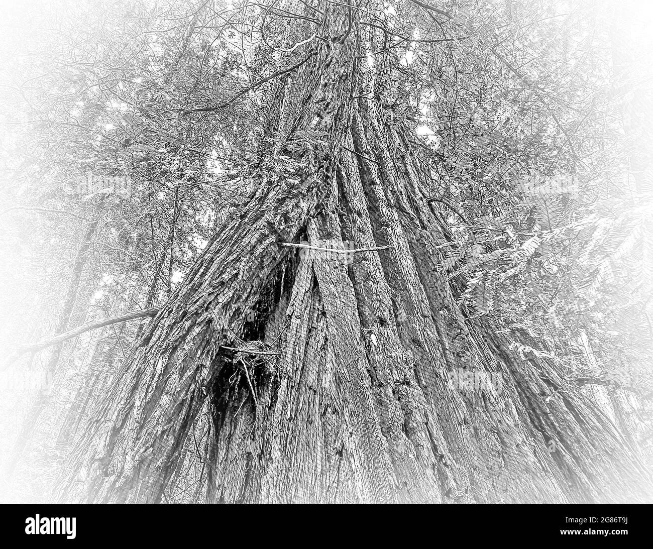 My Image 32