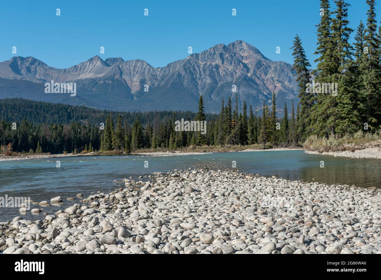 Closeup shot trees hills hi-res stock photography and images - Alamy