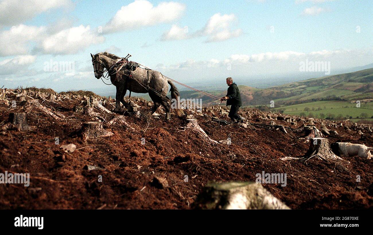 Doug Joiner with his horse Ella working on a hillside at the Stiperstones in Shropshire. 26/03/1999. farming farm farmer hill hills horses working animal Stock Photo