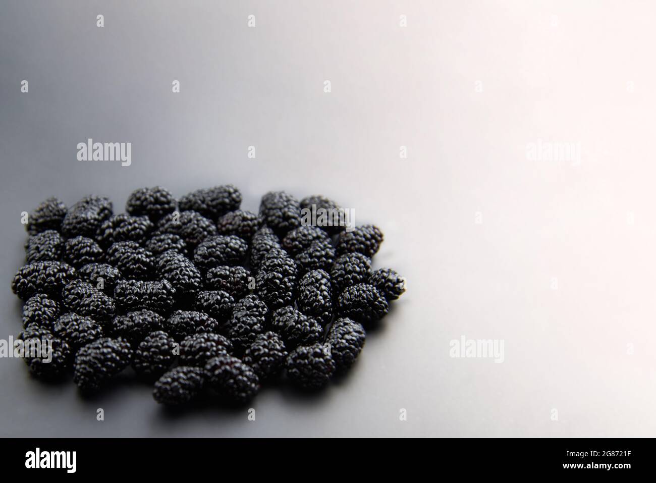 Fresh ripe mulberry on gray background, copy space, healthy food concept. Stock Photo