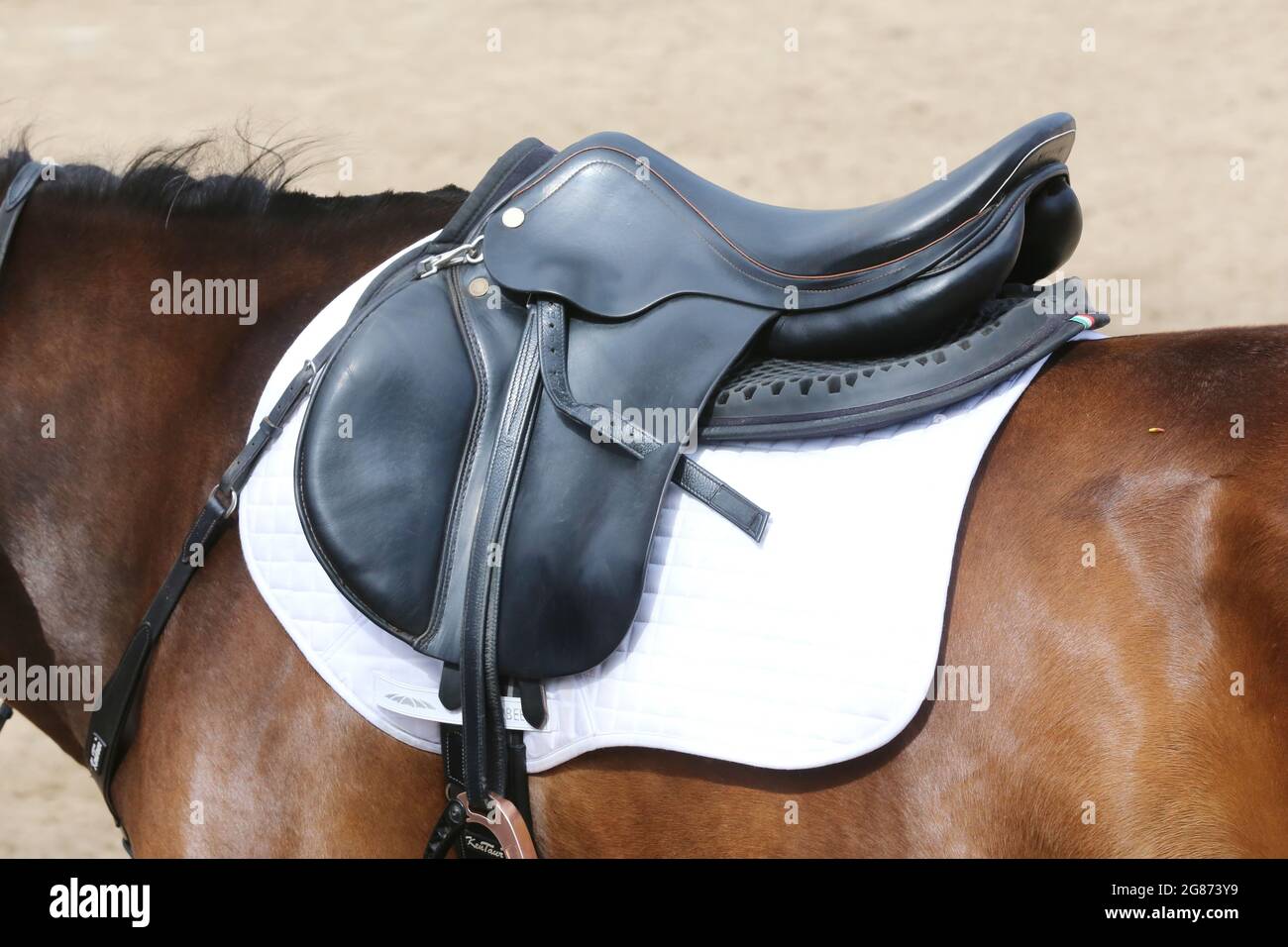 On the back of the horse, a brown leather saddle and saddle cloth are