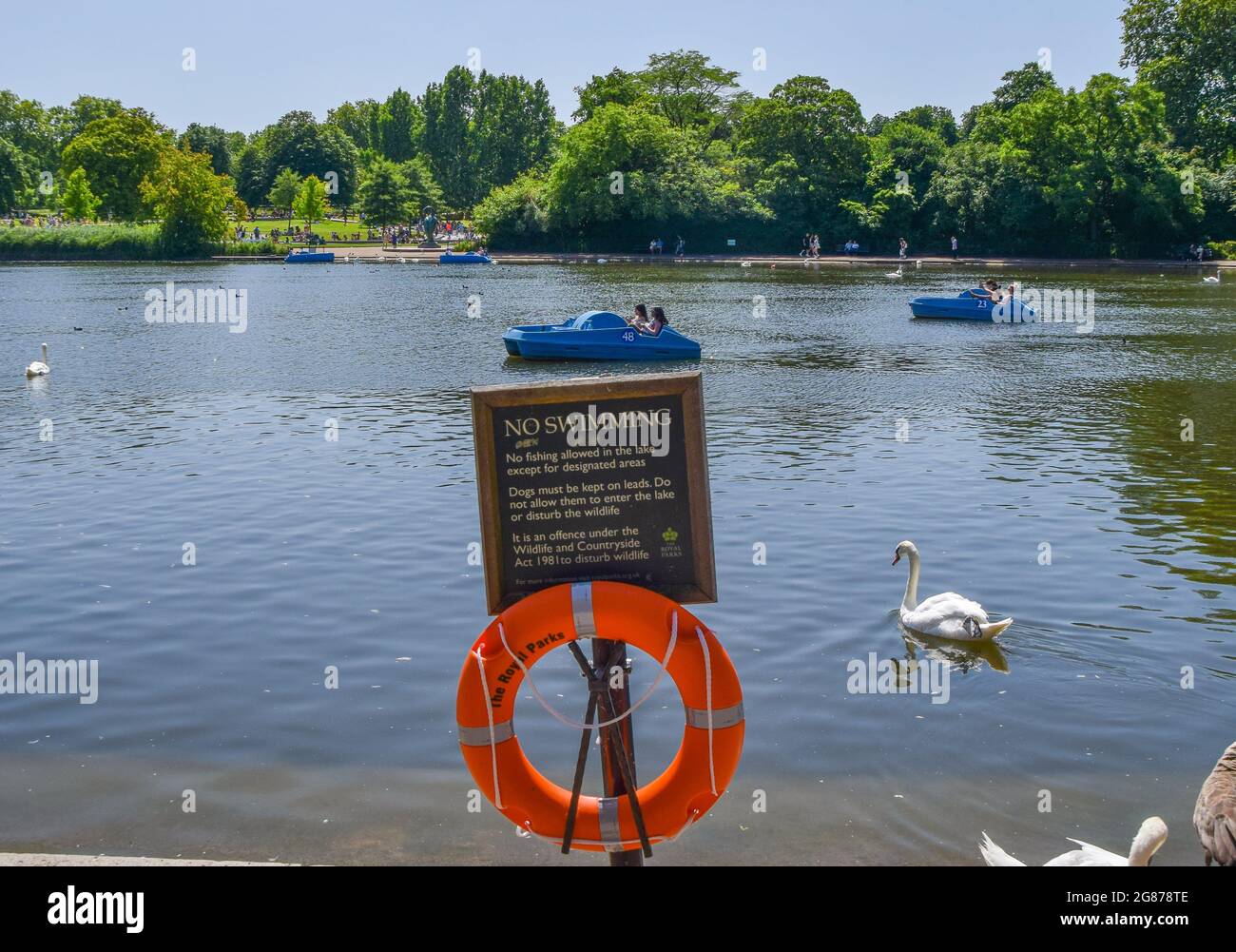 In a paddle boat on the serpentine in hyde park hires stock