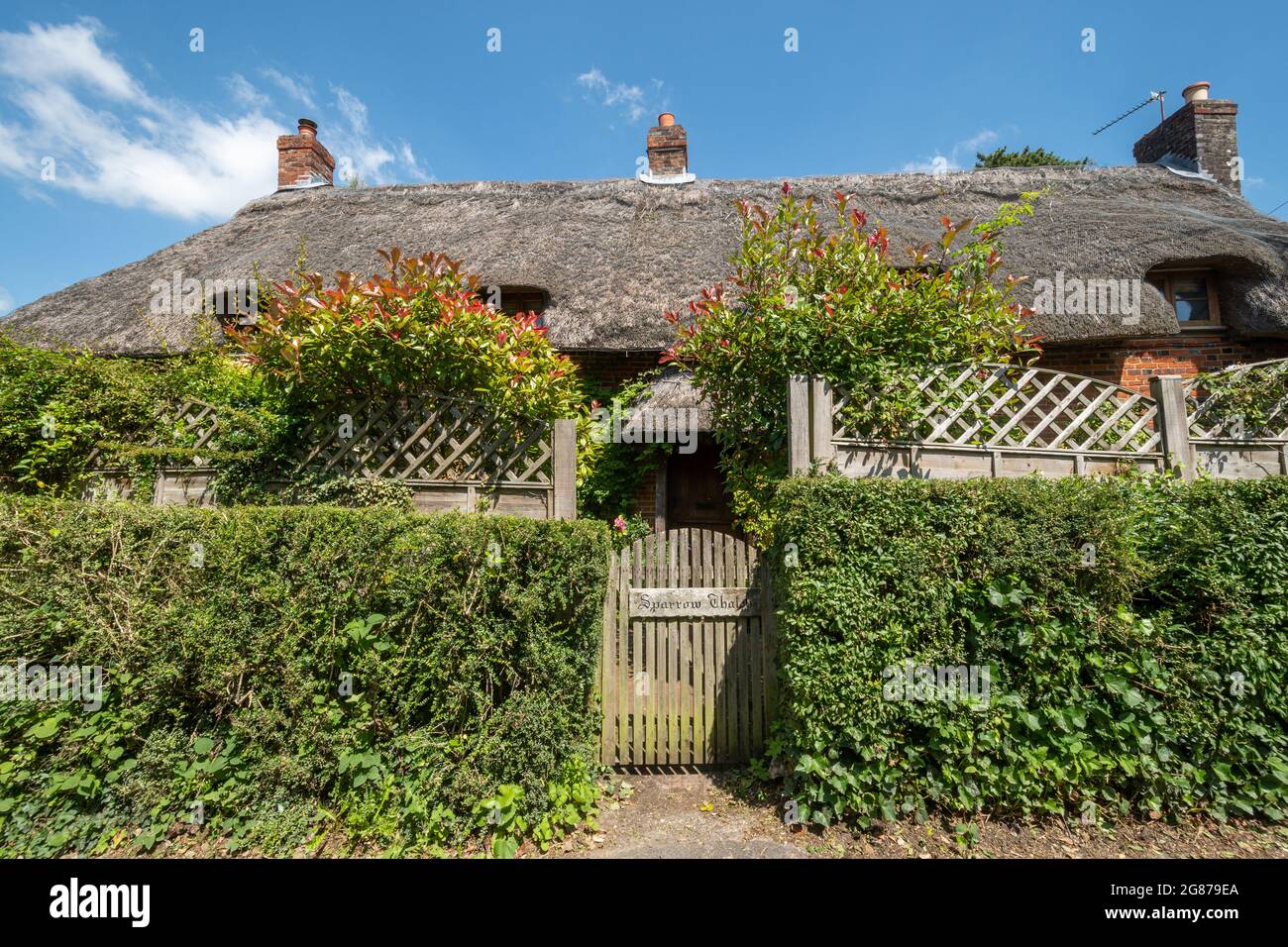 Attractive 17th century thatched cottage in Ropley village, Hampshire, England, UK. Stock Photo