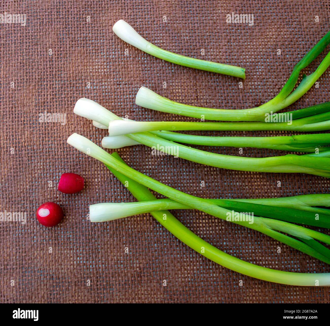 Green onions and radishes are among the first vegetables the Missouri gardeners harvest each year. The tasty delicacies sometimes have a strong flavor Stock Photo