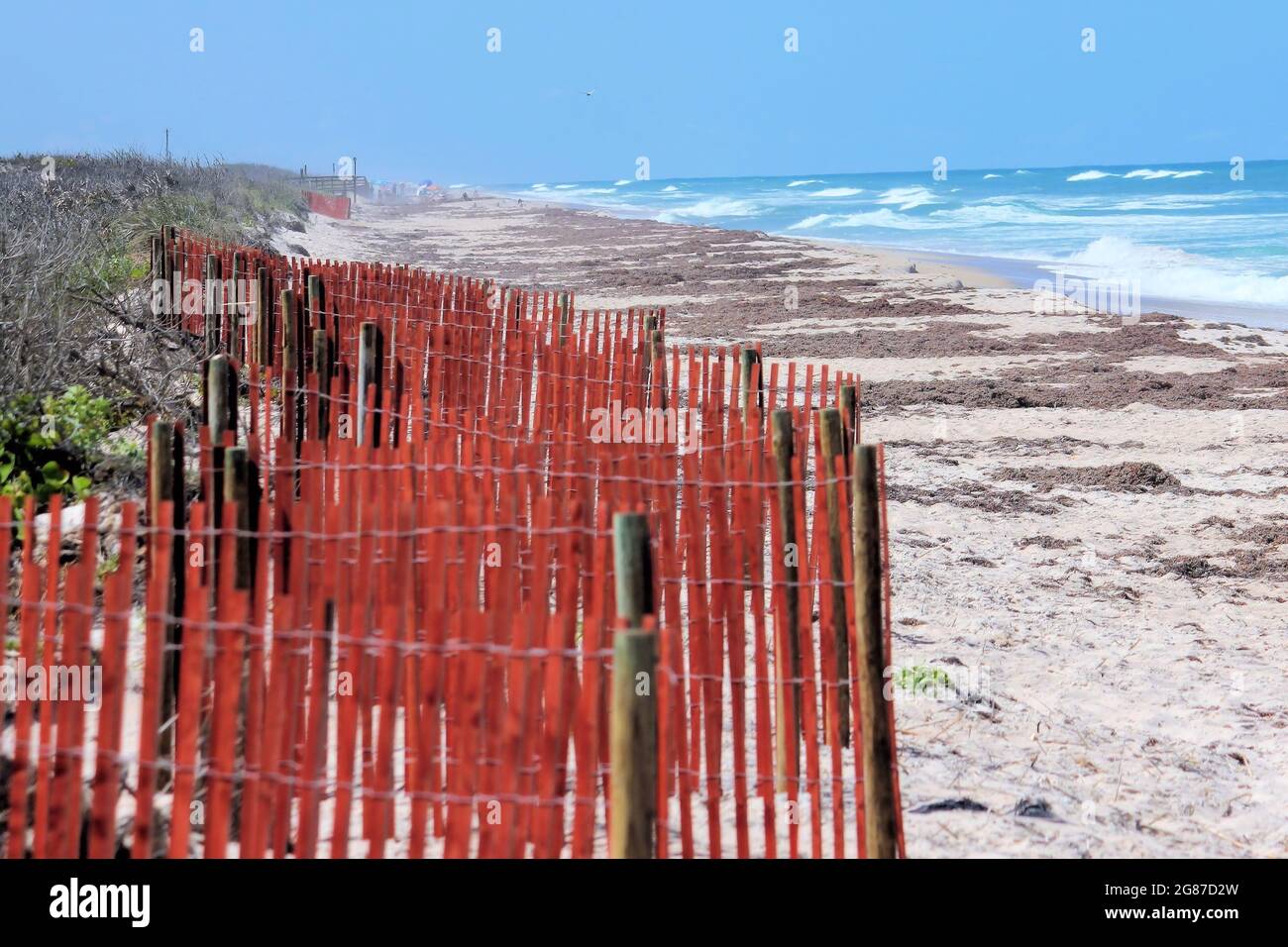 A red sand dunes fence showing the beach and sea oats A red sand dunes ...