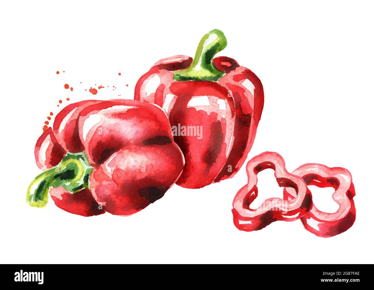 Red Bell pepper. Watercolor hand drawn illustration, isolated on white ...