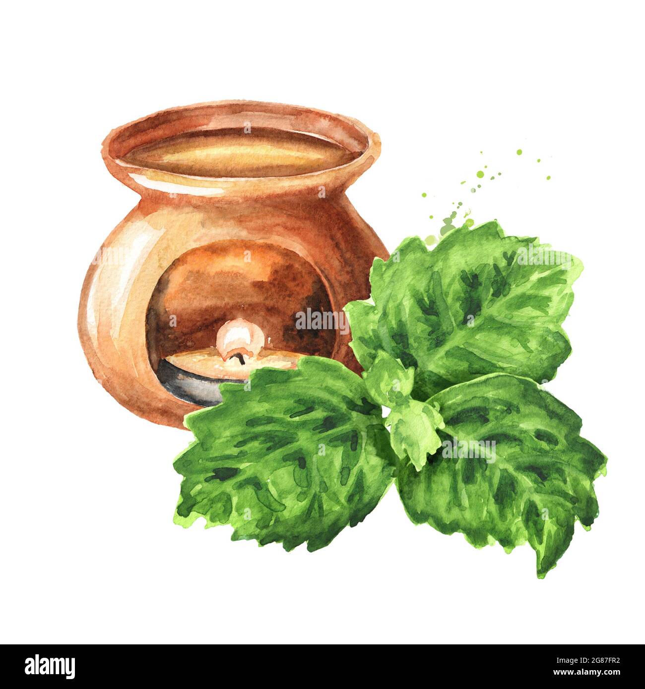 Aroma lamp and Plant patchouli or Pogostemon cablini branch with green leaves. Hand drawn watercolor illustration isolated on white background Stock Photo