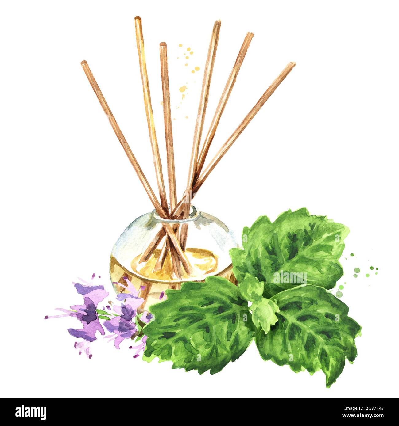 Patchouli aroma  liquid in a glass bottle with sticks. Hand drawn watercolor illustration isolated on white background Stock Photo