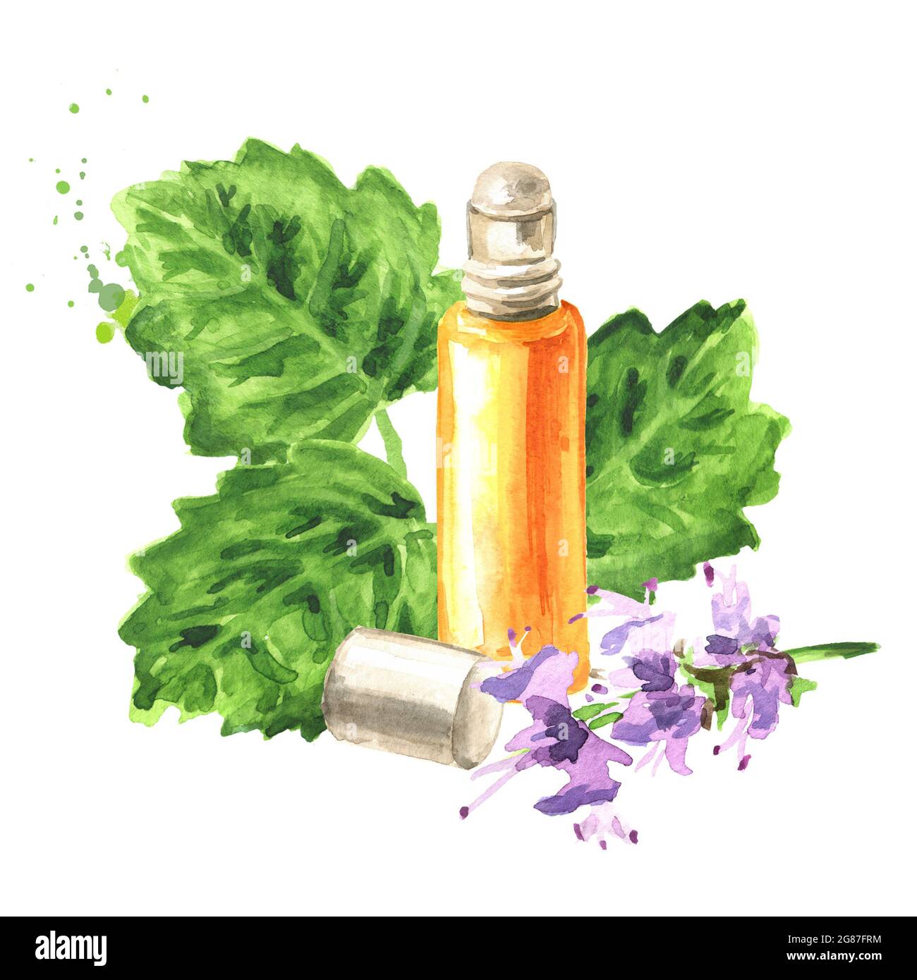 Patchouli or Pogostemon cablini essential oil bottle. Hand drawn watercolor illustration, isolated on white background Stock Photo