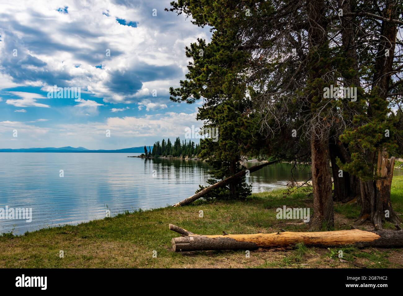 storm point trail yellowstone