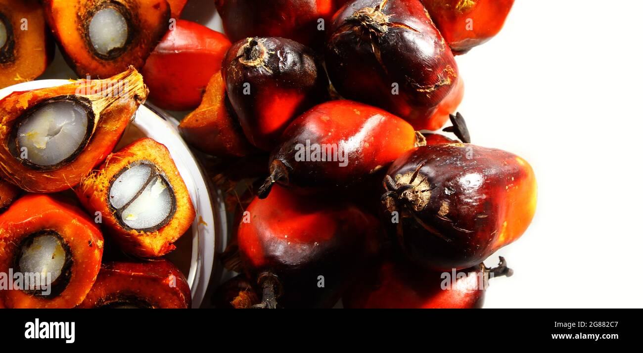 Palm oil is an edible vegetable oil derived from the mesocarp of the