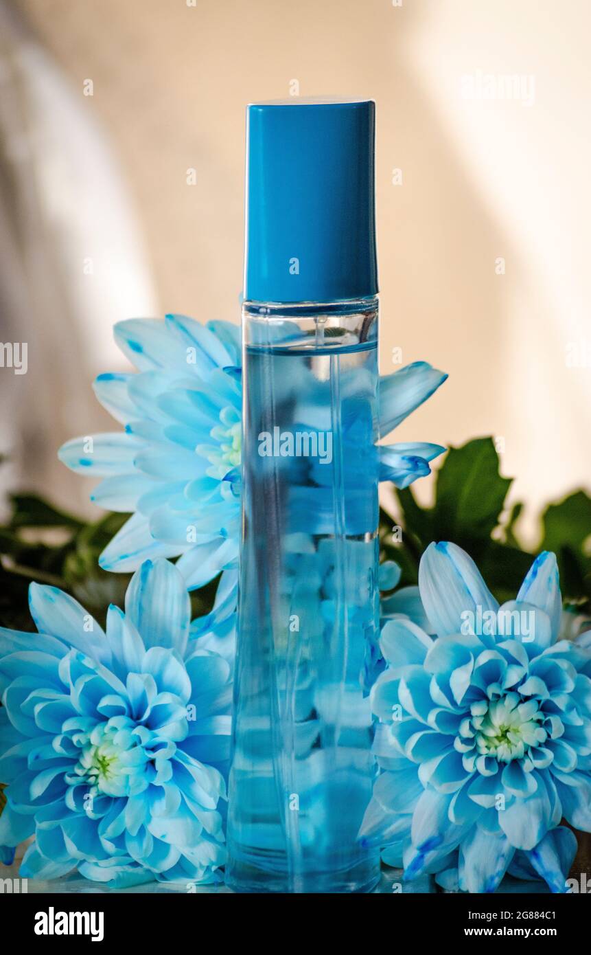 bottle of floral perfume on a background of camomile flowers and