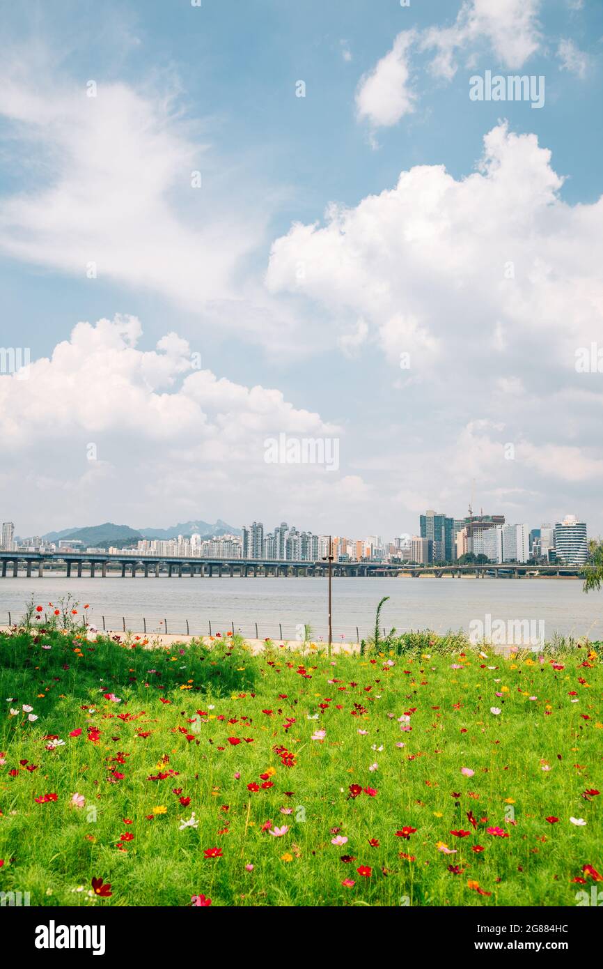 Yeouido Hangang River Park and Mapo Bridge and modern buildings in Seoul, Korea Stock Photo