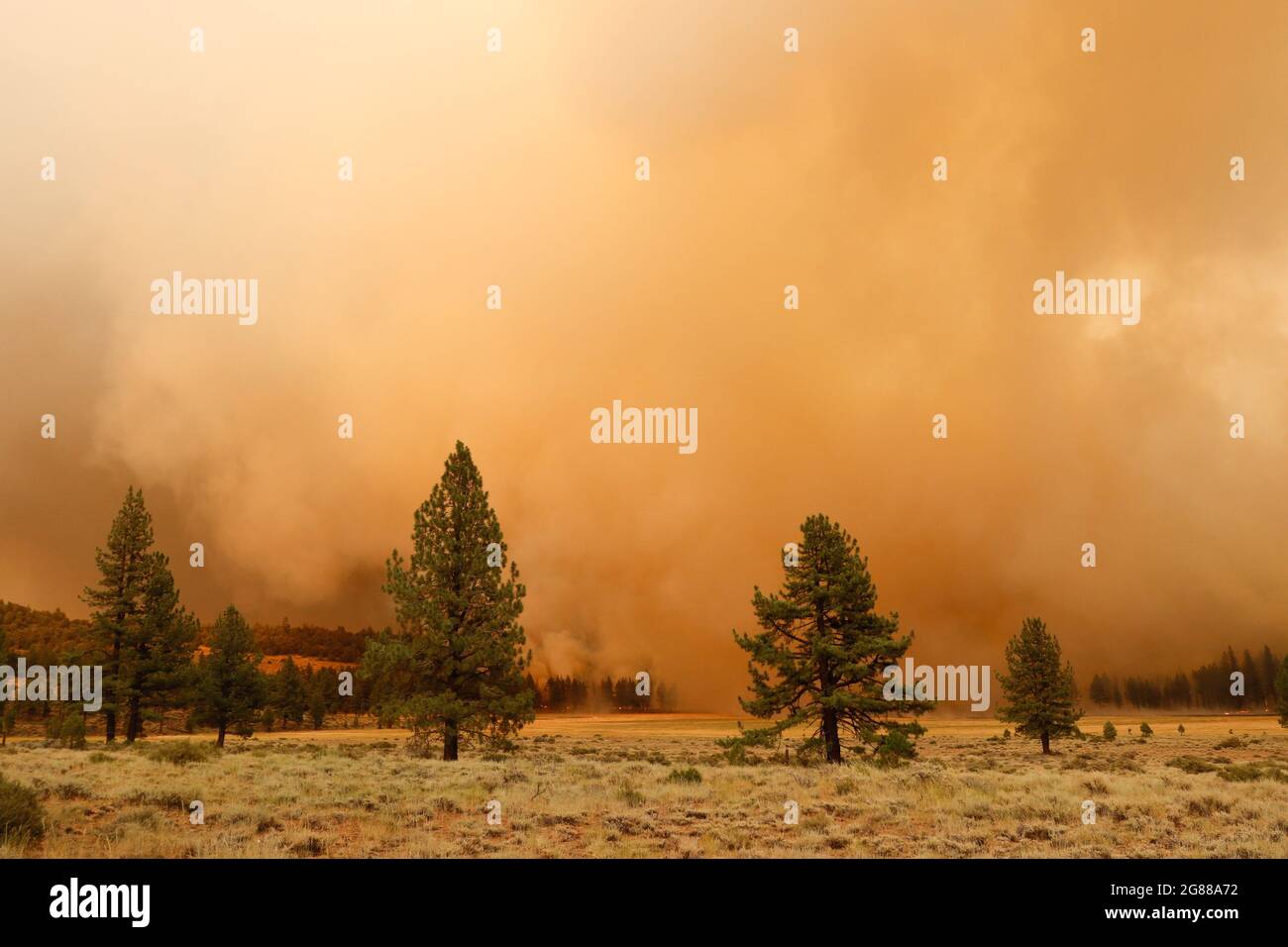 The Tamarack fire burns unchecked due to drought conditions and gusty