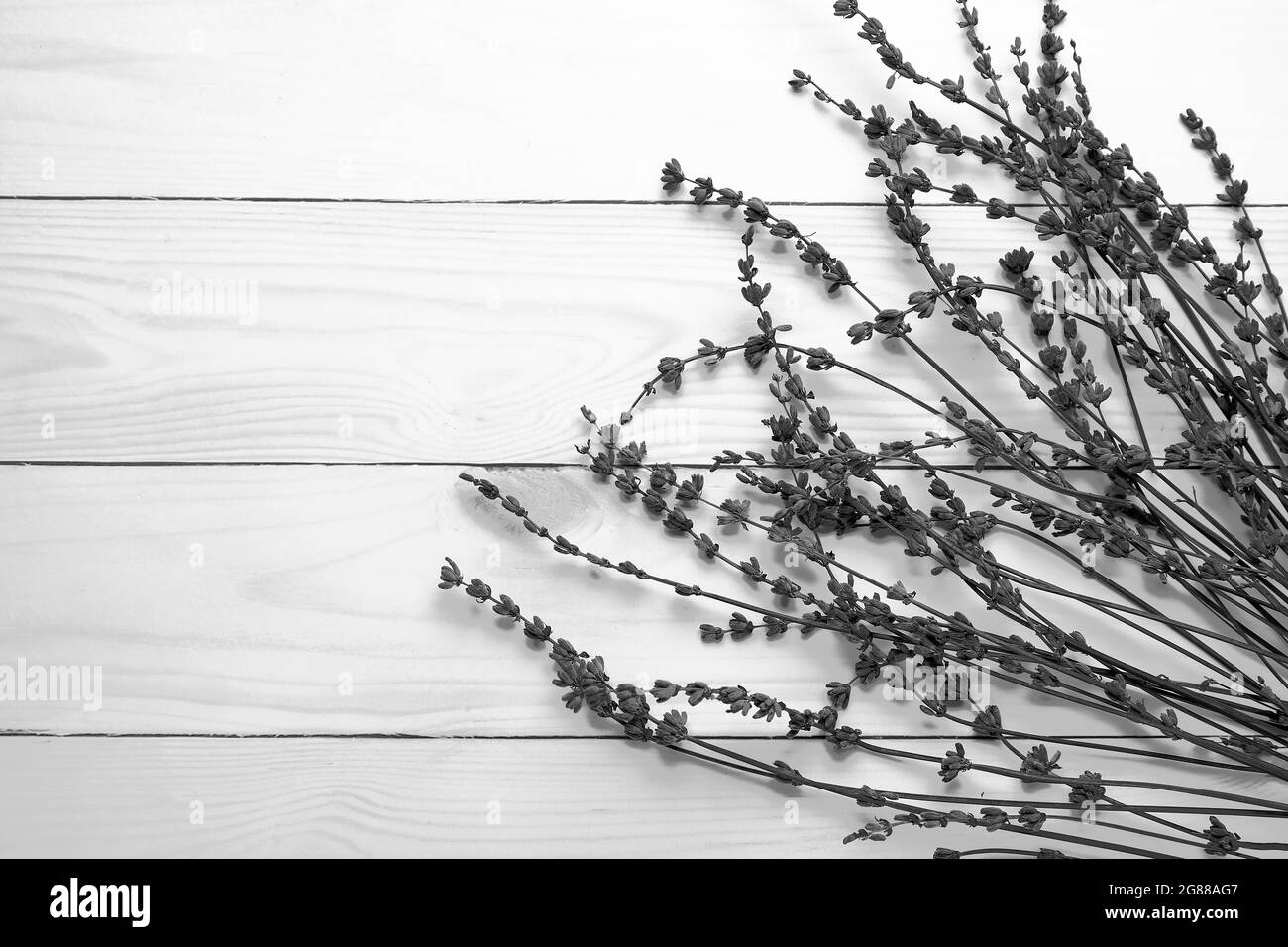 Beautiful lavender flowers on light wooden background Stock Photo