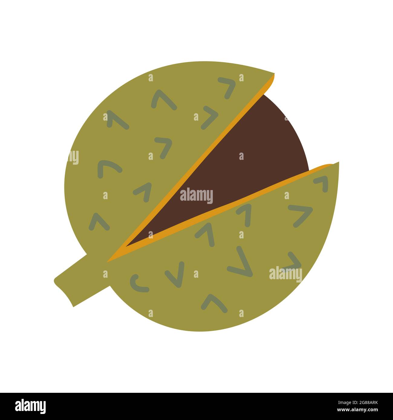 Open Chestnut Thorned Shell with Brown Nut Nearby Stock Vector