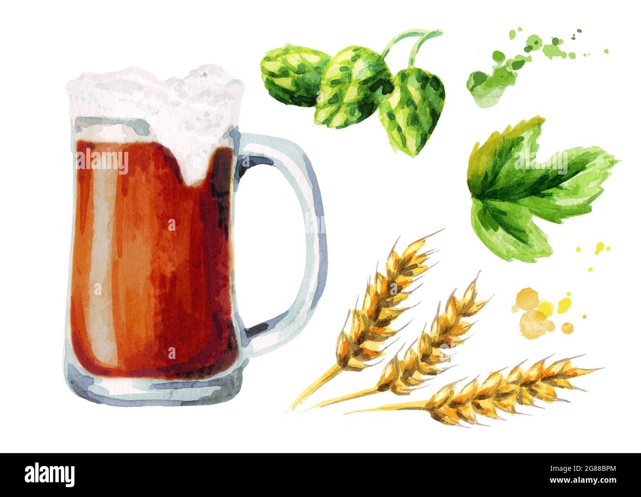 Beer, malt and hops set. Watercolor Stock Photo Alamy
