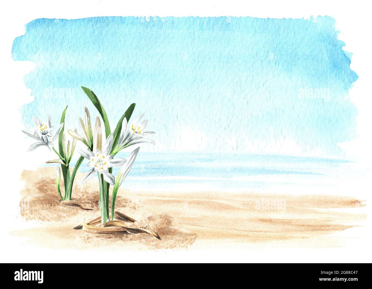 Pancratium maritimum, sea daffodils or Lily of Sharon plant on the sand on the background of the sea with copy space. Hand drawn watercolor illustrati Stock Photo