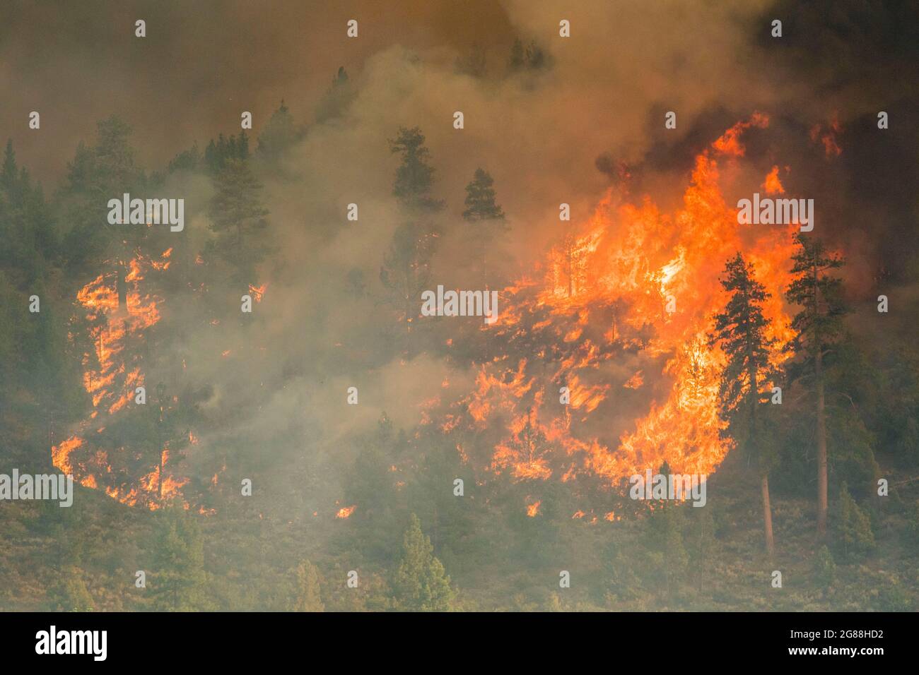 Lightning strike tree fire hi-res stock photography and images - Alamy