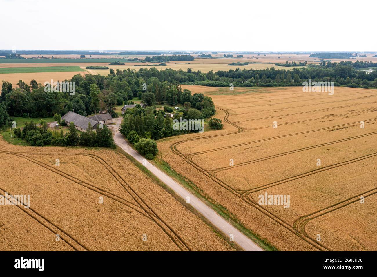 rural landscape with cereal fields, roads and country houses, view from ...