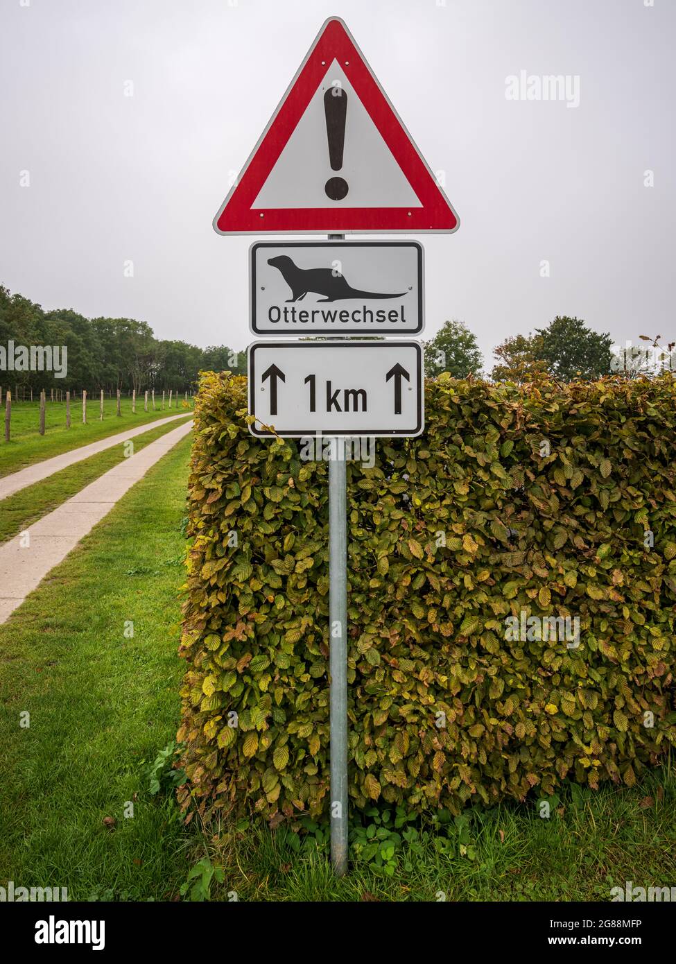 Sign: Otterwechsel (German for: Otters crossing), seen near Goor, Mecklenburg-Western Pomerania, Germany Stock Photo