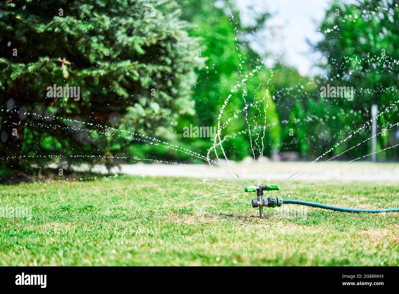 rotor head sprinkler spaying water over green grass, revitalizes dry