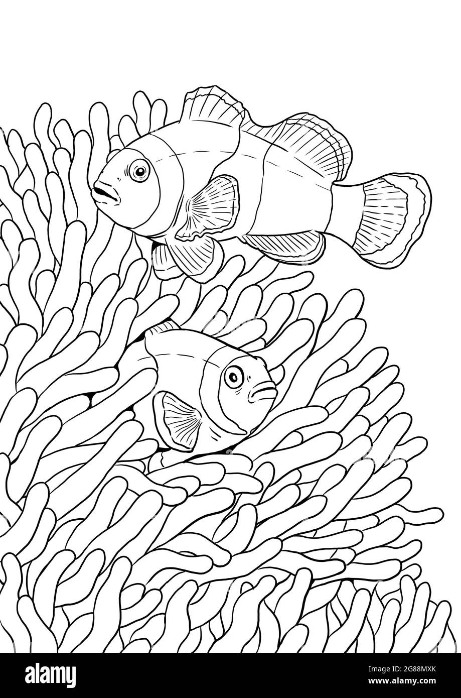 Tropical clownfish with coral reef anemone. Colorful sea fish digital template. Coloring book for children and adults. Stock Photo