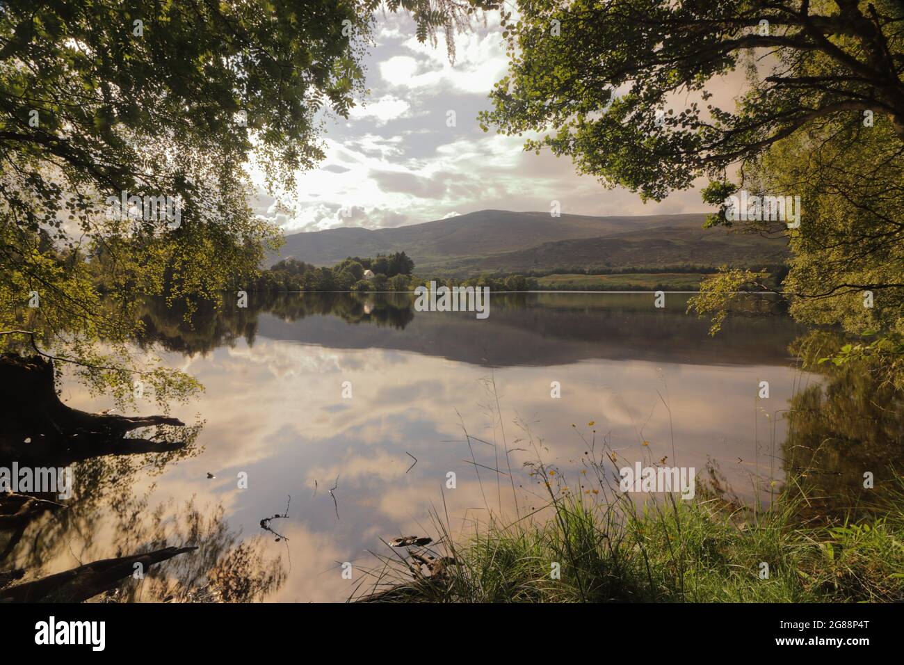 Loch Alvie in Scotland in summer Stock Photo