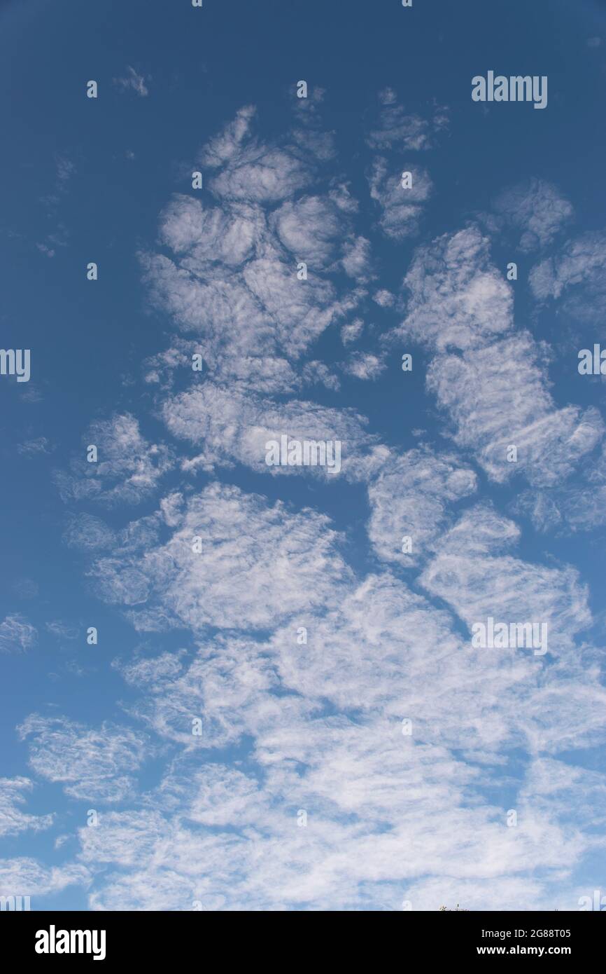 Delicate, thin, white, fragmented cirrocumulus clouds in a blue sky. High, wispy clouds in winter sky, Queensland, Australia. Background, copy space. Stock Photo