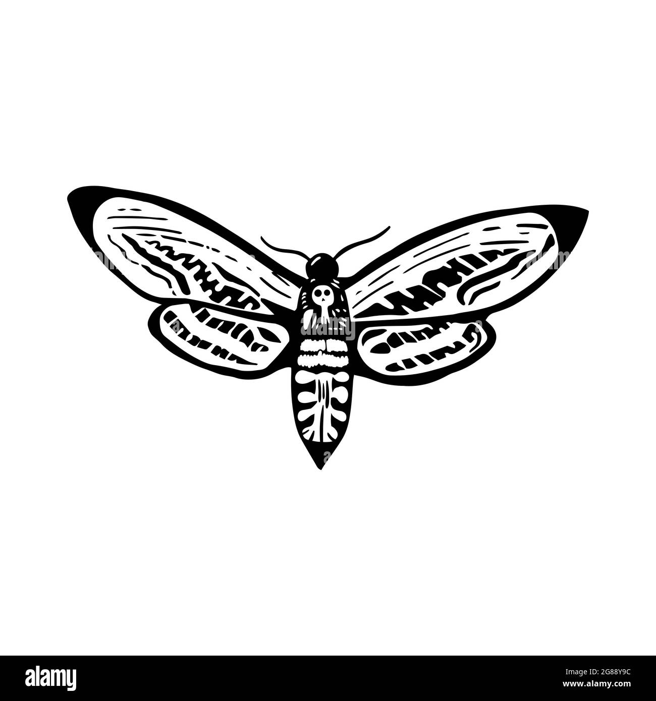 Deaths head moth in ink on white. Halloween design elements. Stock Vector