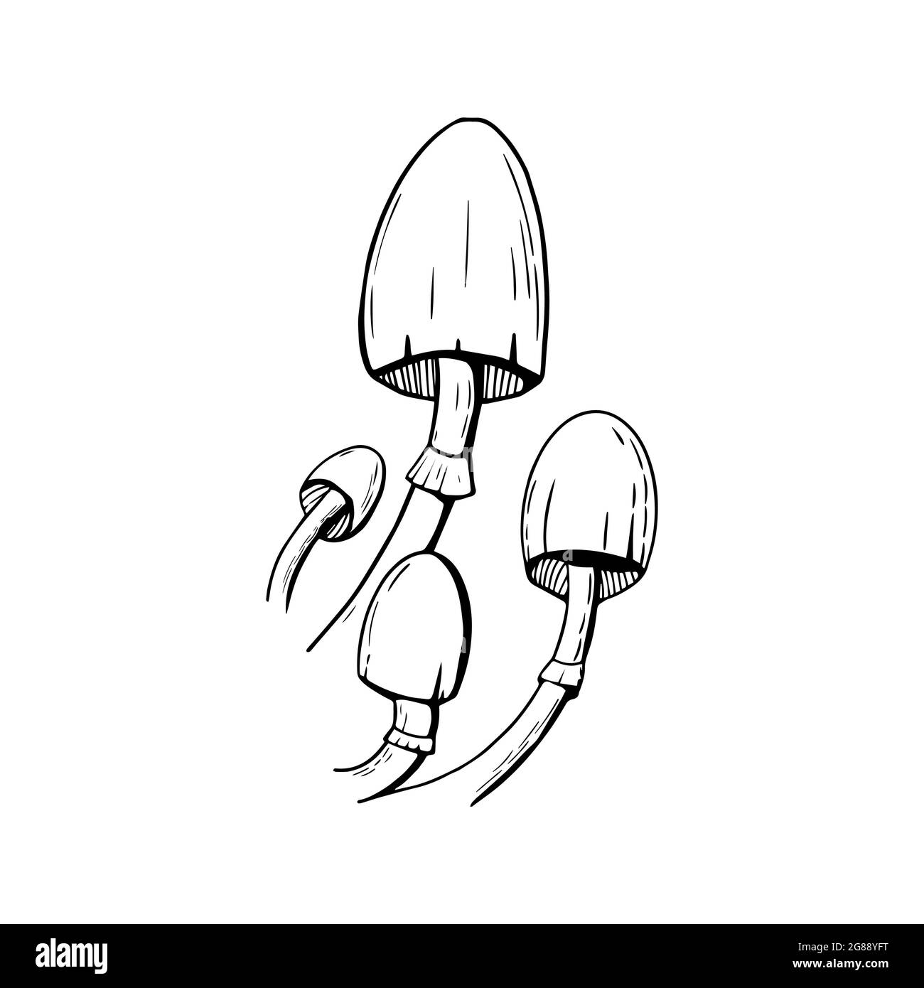 Toxic mushroom doodles on a white. Halloween design elements. Stock Vector