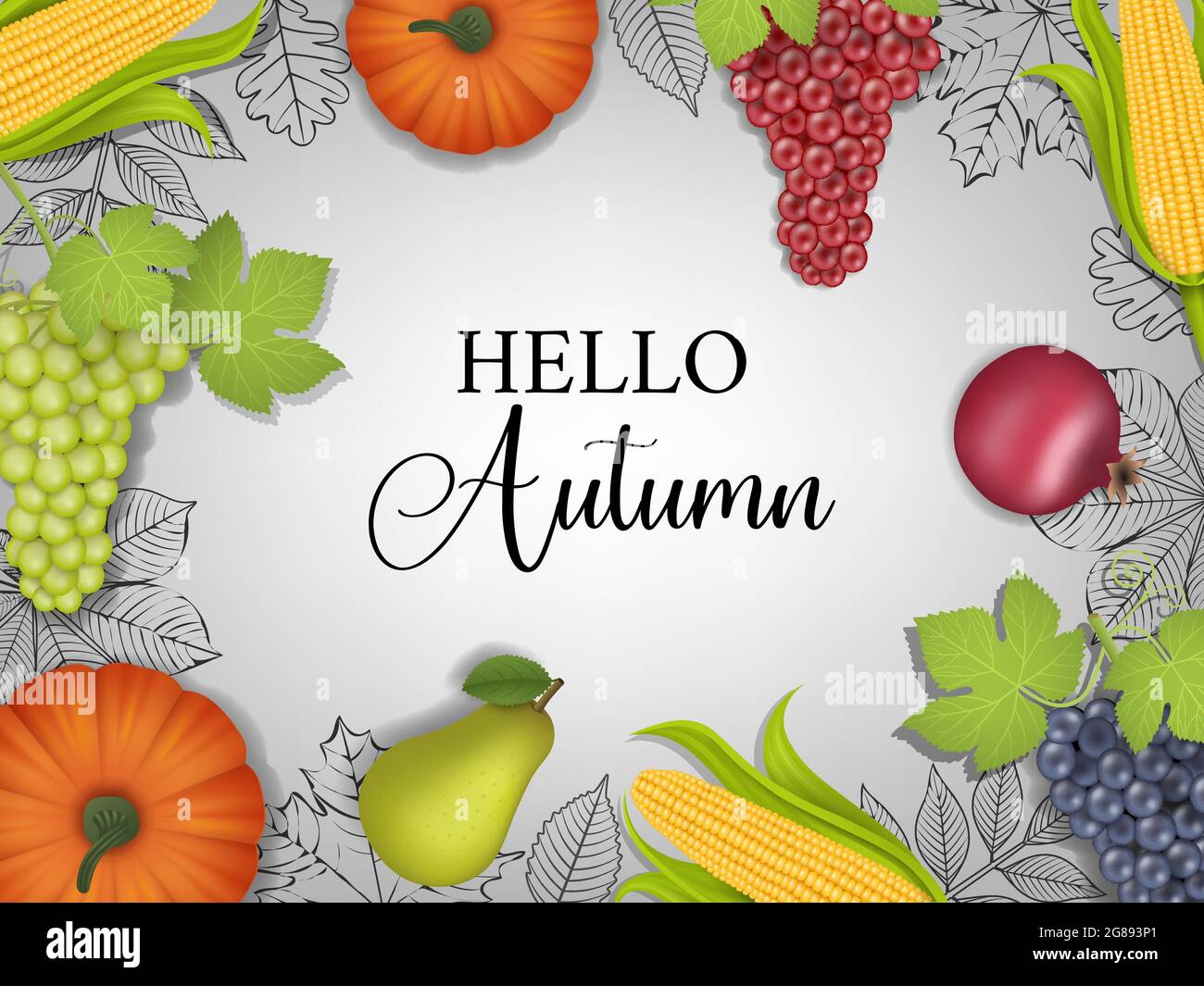 Autumn leaves fruits frame Stock Vector Images - Alamy