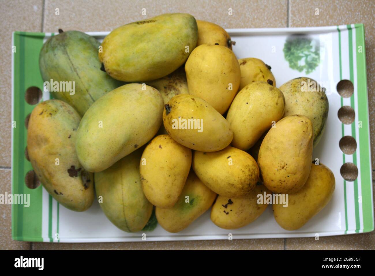 Variety of Indian mangos (Mangifera indica Stock Photo Alamy