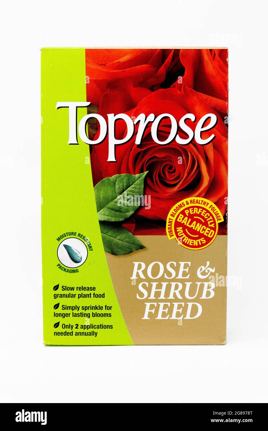 Toprose Rose & Shrub Feed Stock Photo