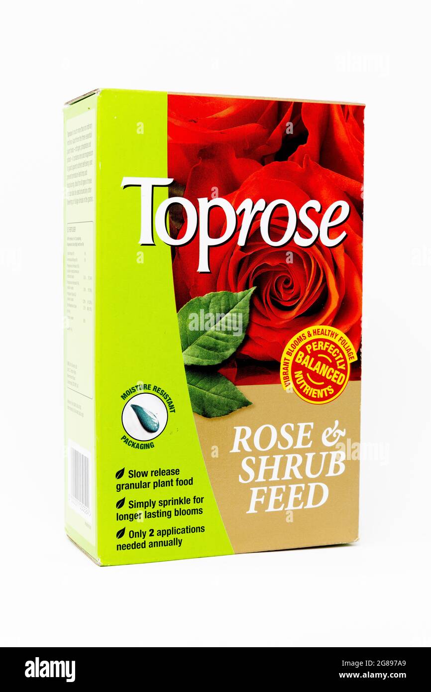 Toprose Rose & Shrub Feed Stock Photo